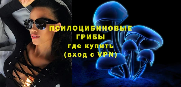 PSILOCYBIN Семилуки