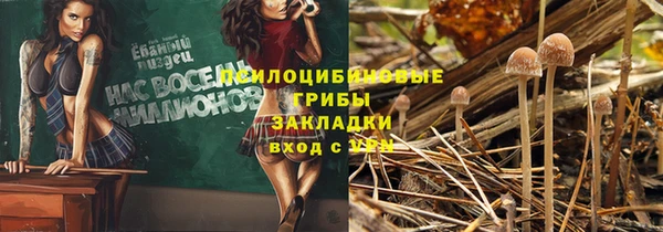 ECSTASY Володарск