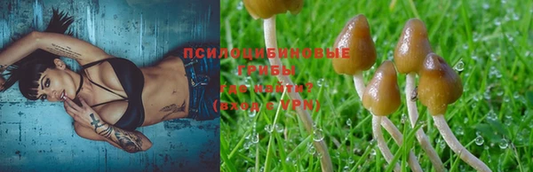 ECSTASY Володарск