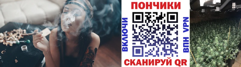 как найти наркотики Светогорск МАРИХУАНА гибрид